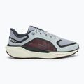 Nike Pegasus 41 GTX pantofi de alergare pentru bărbați light pumice/ burgundy crush/ dark smoke grey/ ashen slate 2