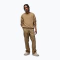 Pantaloni pentru bărbați  Jordan Brooklyn Fleece desert camo/desert camo 2
