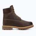 Încălțăminte pentru Bărbați Timberland 6In Premium brown 2