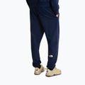 Pantaloni de trekking pentru bărbați The North Face Simple Dome Light Regular Tapered Jogger summit navy 3