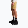 Pantaloni scurți de trekking pentru bărbați The North Face Lightning SHT khaki stone/npf 4