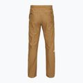 Pantaloni pentru bărbați The North Face Limestone utility brown 2