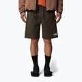 Pantaloni scurți pentru bărbați The North Face Limestone new taupe green