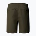 Pantaloni scurți pentru bărbați The North Face Limestone new taupe green 5