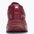 Încălțăminte de drumeție pentru femei The North Face Offtrail Hike Gore-Tex sumac / alpine plum 6