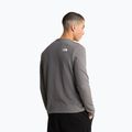 Bluză pentru bărbați The North Face Kecha Crew smoked pearl/asphalt grey 3