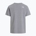 Tricou pentru bărbați The North Face Evolution Half Dome tnf pale grey heather 5