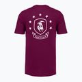 Tricou de antrenament bărbați Under Armour Project Rock Badge Of Honor purple 4