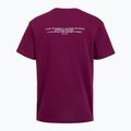 Tricou de antrenament bărbați Under Armour Project Rock Terry Q3 purple 2
