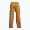 Pantaloni de antrenament pentru bărbați Under Armour Project Rock Icon Fleece galben ocru/silt 2