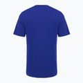 Tricou pentru bărbați Under Armour Curry Logo Trend royal/white/taxi 2