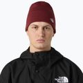 Căciulă de iarnă The North Face Norm Beanie sumac 3