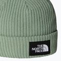 Căciulă de iarnă pentru copii The North Face Salty Lined 2