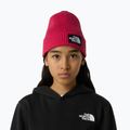 Căciulă de iarnă pentru copii The North Face Logo Box Cuffed 3