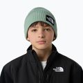 Căciulă de iarnă pentru copii The North Face Logo Box Cuffed 3