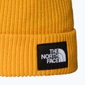 Căciulă de iarnă The North Face Salty Lined 2