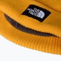 Căciulă de iarnă The North Face Salty Lined 3