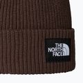 Căciulă de iarnă The North Face Salty Lined 2