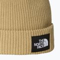 Căciulă de iarnă The North Face Salty Lined 2