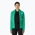 Bluză pentru femei The North Face Summit Futurefleece FZ nebula green 4