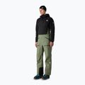 Pantaloni de schi pentru bărbați The North Face Summit Tsirku GTX Pro Bib bark mist/black
