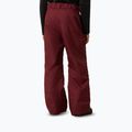 Pantaloni de schi pentru copii The North Face Freedom Insulated sumac 3