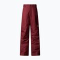 Pantaloni de schi pentru copii The North Face Freedom Insulated sumac 4