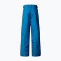 Pantaloni de schi pentru copii The North Face Freedom Insulated dusk blue 5