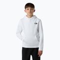 Hanorac pentru copii The North Face Teen Redbox Regular P/O alb/negru 4