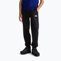 Pantaloni pentru bărbați The North Face Performance Fleece Jogger tnf black