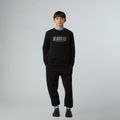 Bluză pentru copii The North Face Reflective Logo Relaxed Crew black 2