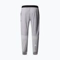 Pantaloni pentru bărbați The North Face Mountain Athletics Fleece pale grey heather/meld grey 2