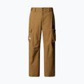 Pantaloni de schi pentru bărbați The North Face Blizzardery Cargo utility brown
