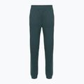 Pantaloni pentru femei The North Face Mountain Athletics Fleece deep cypress/space