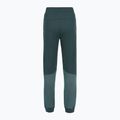 Pantaloni pentru femei The North Face Mountain Athletics Fleece deep cypress/space 2