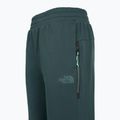 Pantaloni pentru femei The North Face Mountain Athletics Fleece deep cypress/space 3