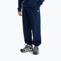 Bluză pentru bărbați The North Face Evolution Simple Dome Regular Hoodie summit navy