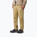 Pantaloni de trekking pentru bărbați The North Face Exploration Regular Tapered khaki stone