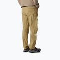 Pantaloni de trekking pentru bărbați The North Face Exploration Regular Tapered khaki stone 3
