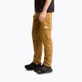 Pantaloni de trekking pentru bărbați The North Face Exploration Cargo utility brown 4
