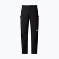 Pantaloni de iarnă pentru bărbați The North Face Winter Exploration Reg Tapered Cargo black 4