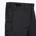 Pantaloni de schi pentru bărbați The North Face Chakal Regular black/black 3