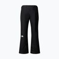 Pantaloni de schi pentru bărbați The North Face Descendit black/black 6