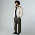 Geacă pentru bărbați The North Face Saikuru mushroom grey/white dun 2