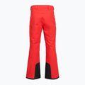 Pantaloni de schi pentru bărbați The North Face Chakal Regular elevation red 2
