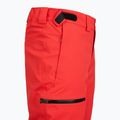 Pantaloni de schi pentru bărbați The North Face Chakal Regular elevation red 3