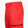 Pantaloni de schi pentru bărbați The North Face Chakal Regular elevation red 4
