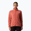 Bluză  pentru femei The North Face Glacier Fleece mars dust