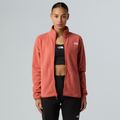 Bluză  pentru femei The North Face Glacier Fleece mars dust 4