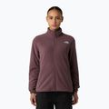 Bluză  pentru femei The North Face Glacier Fleece tawny quartz